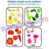 Calepin imagé couleurs Tel quel – Image 3