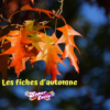 Les fiches d'automne